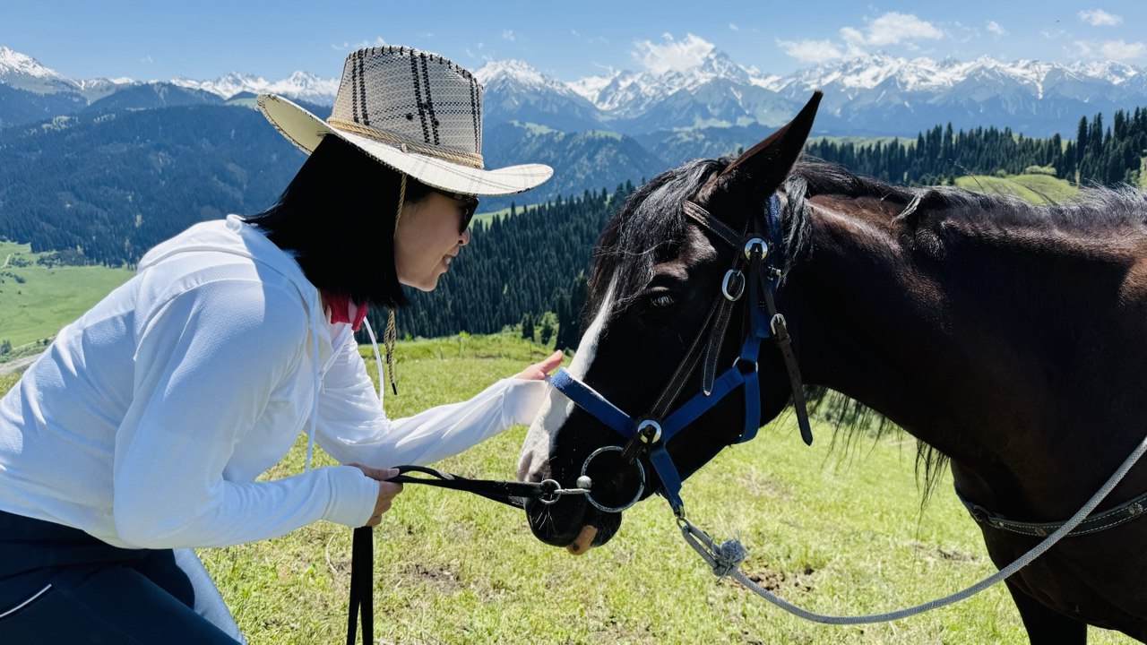 First Contact with Horses